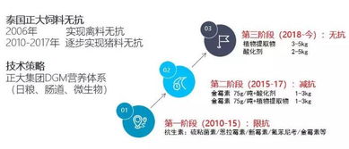 無抗我們到底怎么做 看看這些大咖們說了些什么